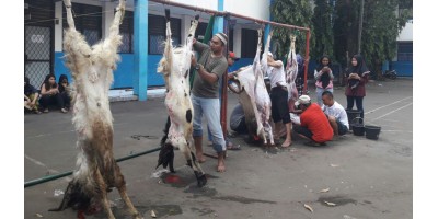 Idul Adha